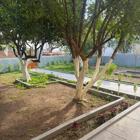 Traditional Stella * Archangelos (Rhodes)