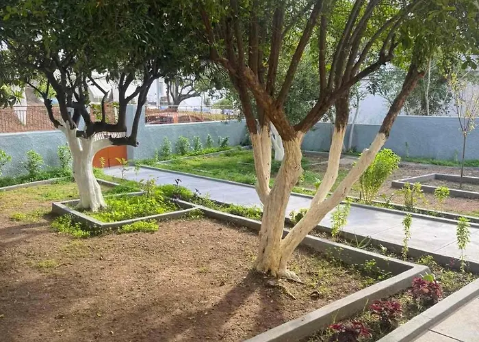 Traditional Stella * 아크앤젤로스