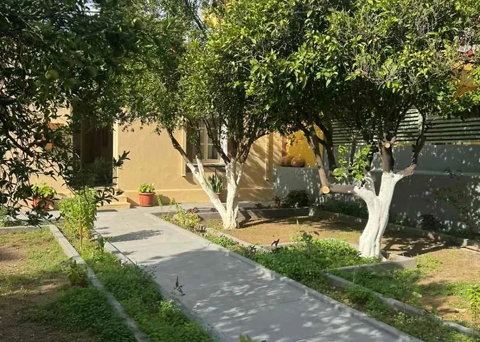 Traditional Stella *